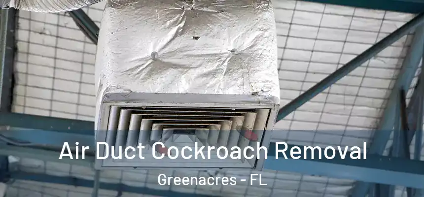 Air Duct Cockroach Removal Greenacres - FL