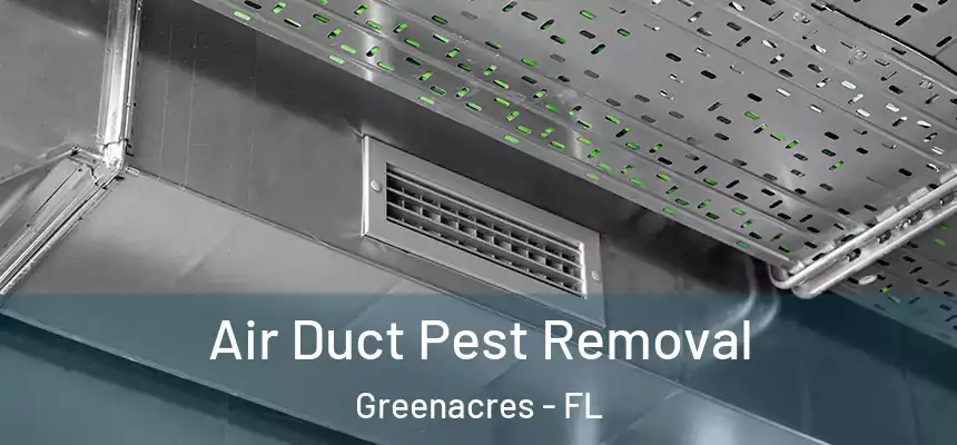 Air Duct Pest Removal Greenacres - FL