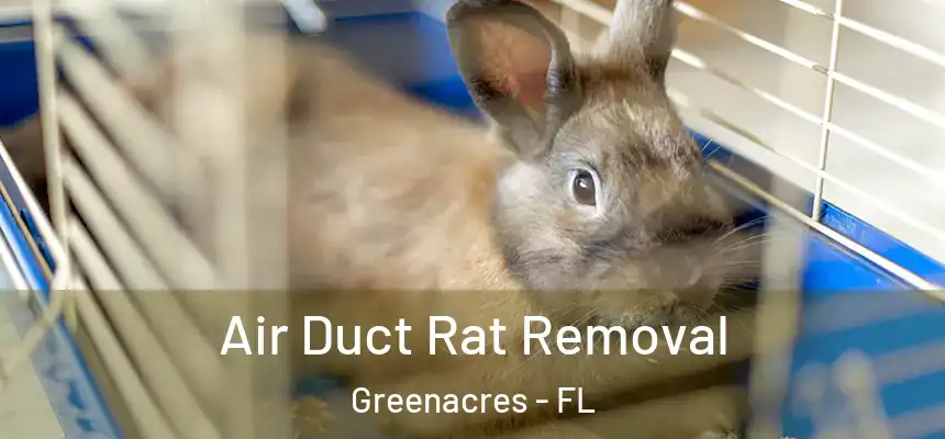 Air Duct Rat Removal Greenacres - FL