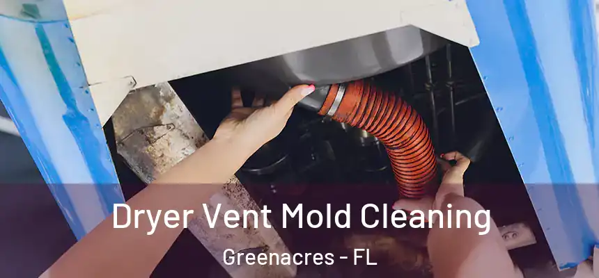Dryer Vent Mold Cleaning Greenacres - FL