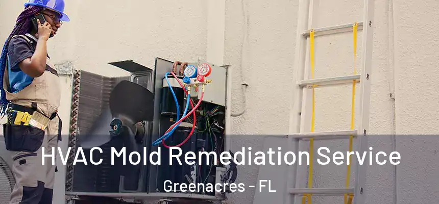 HVAC Mold Remediation Service Greenacres - FL
