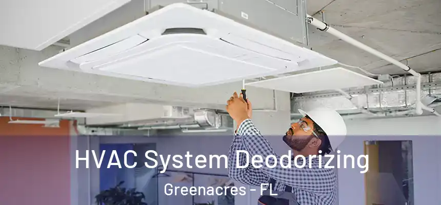 HVAC System Deodorizing Greenacres - FL