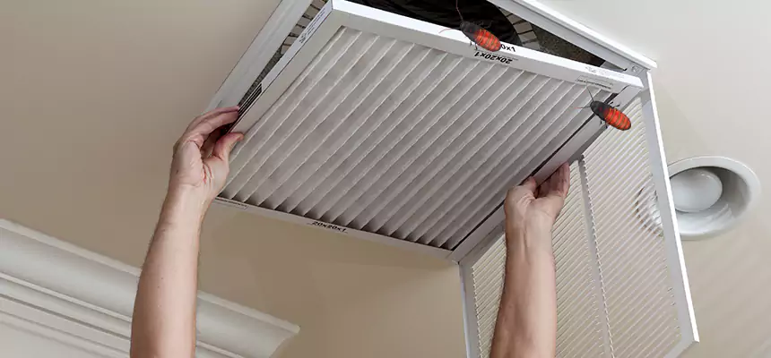 Preventive Cockroach-Proofing for Ducts in Greenacres