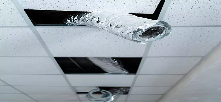 Affordable HVAC Sanitizing After Pest Removal in Greenacres