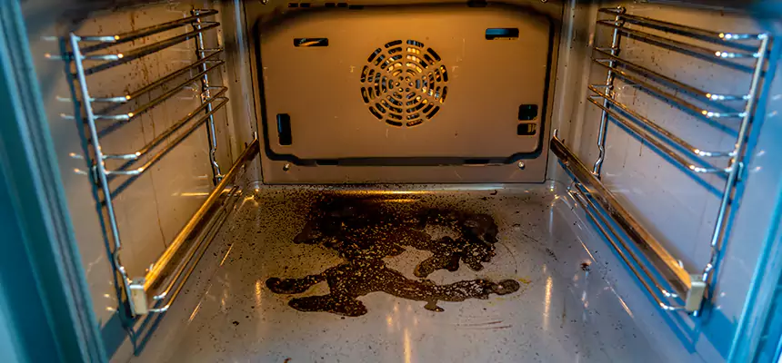 Our Dryer Vent Mold Cleaning Services in Greenacres, FL