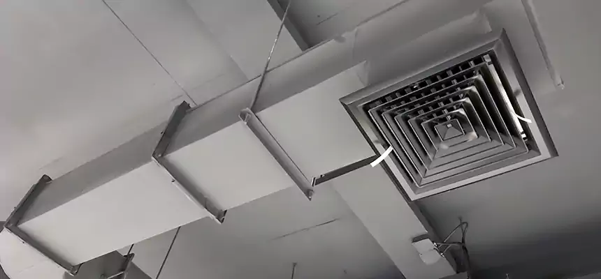 Our Pest Removal From Ducts Services in Greenacres, FL