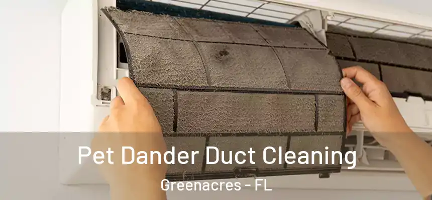 Pet Dander Duct Cleaning Greenacres - FL
