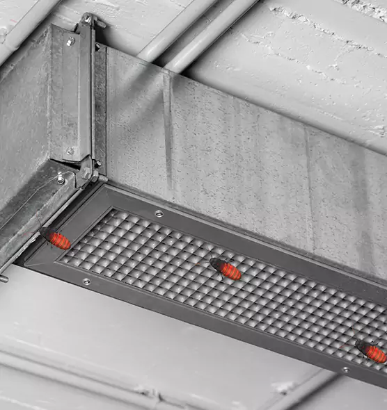 About Air Duct Cockroach Removal in Greenacres, FL
