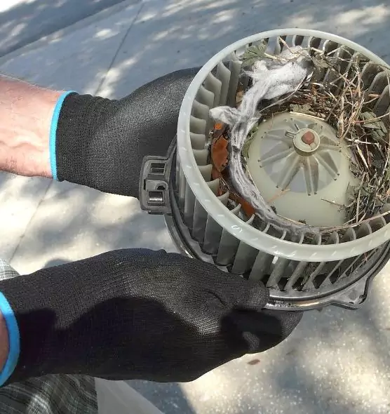 About Air Duct Rat Removal in Greenacres, FL