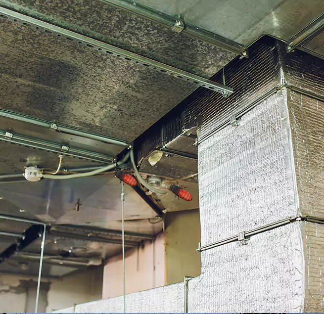 Why Homeowners & Businesses Trust Us in Greenacres, FL?