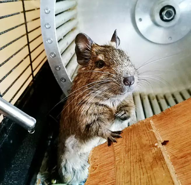 Why Homeowners & Businesses Trust Us Greenacres, FL