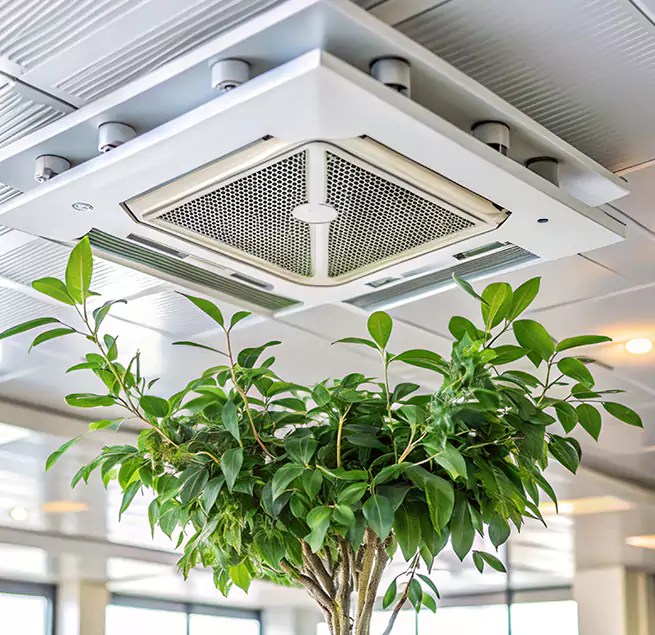 Why Homeowners & Businesses Trust Us in Greenacres, FL?