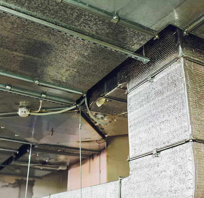 Why Homeowners & Businesses Trust Us in Greenacres, FL?